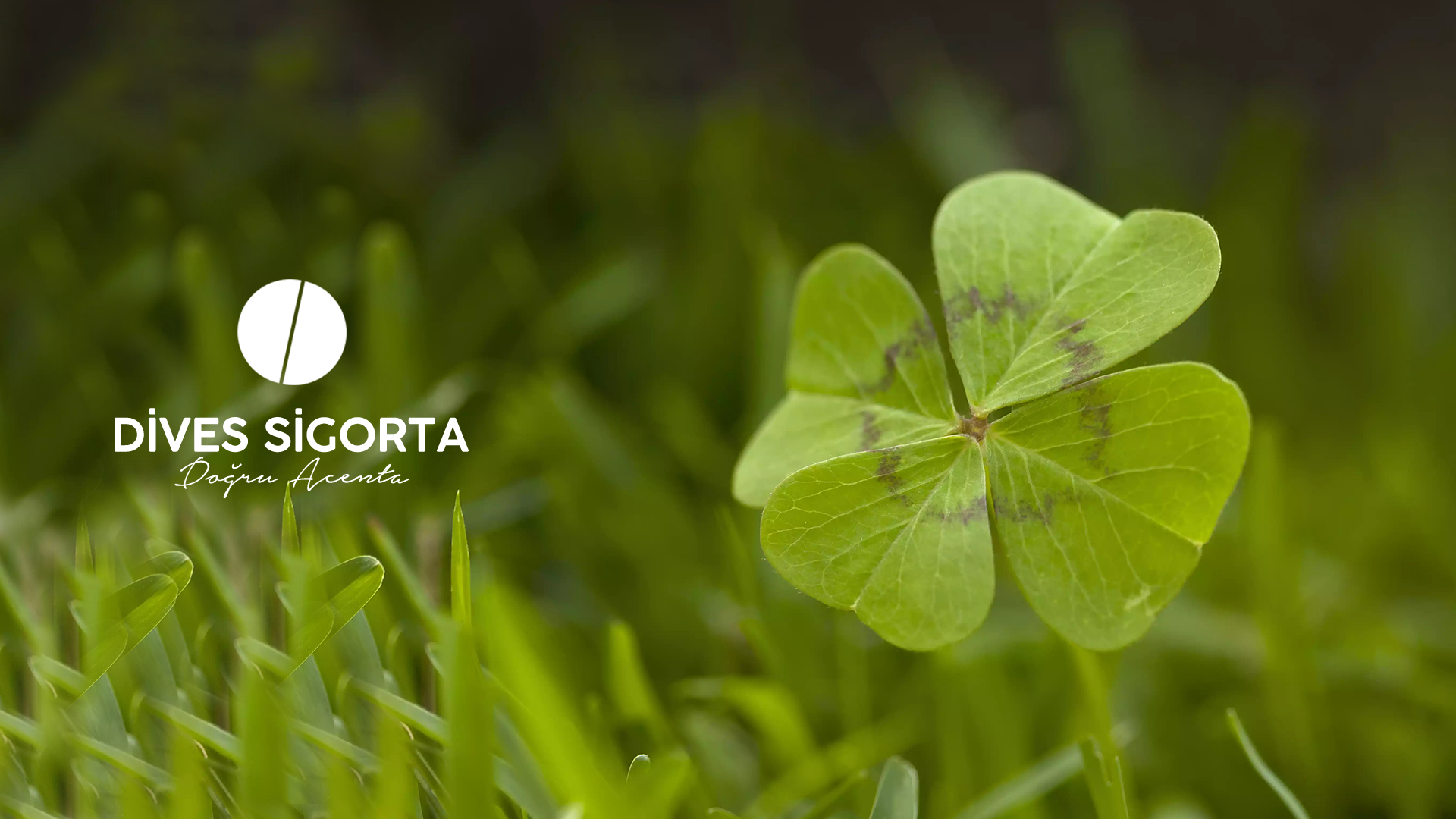 BUGÜN ŞANSLI GÜNÜNÜZDE OLABİLİRSİNİZ